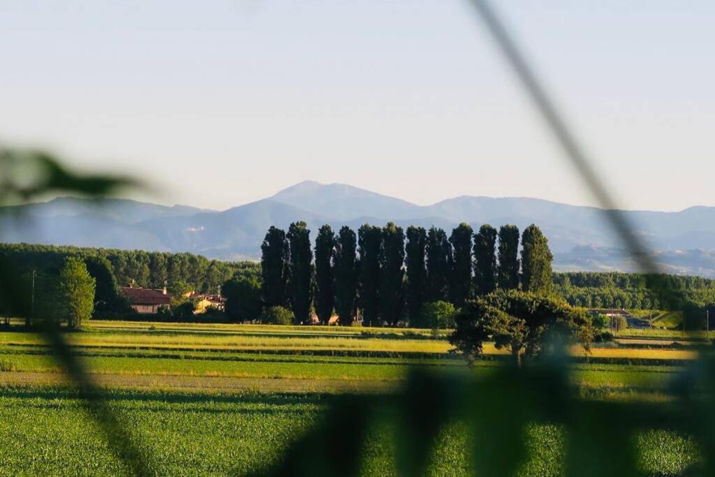 La Casa Nei Campi Villa Badia Pavese Eksteriør bilde