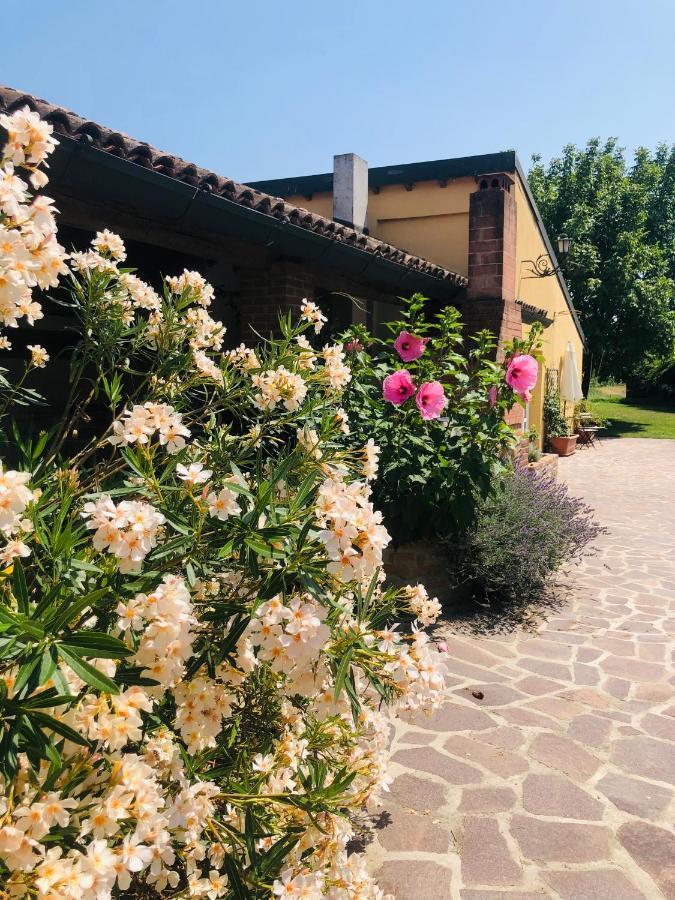 La Casa Nei Campi Villa Badia Pavese Eksteriør bilde